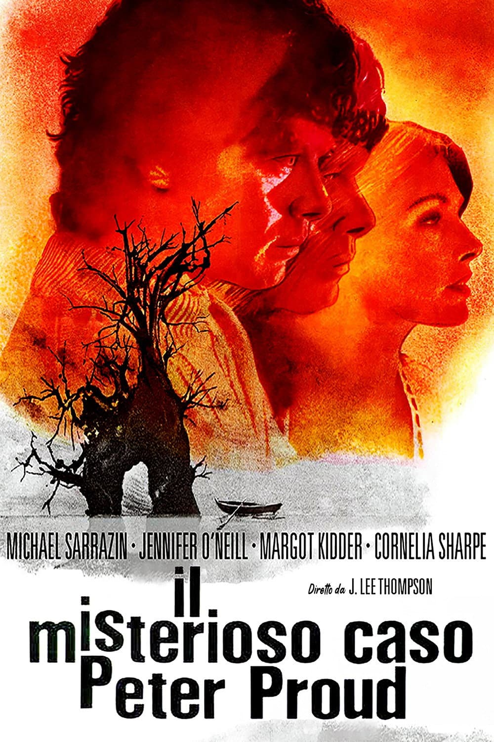 Poster di Il misterioso caso Peter Proud