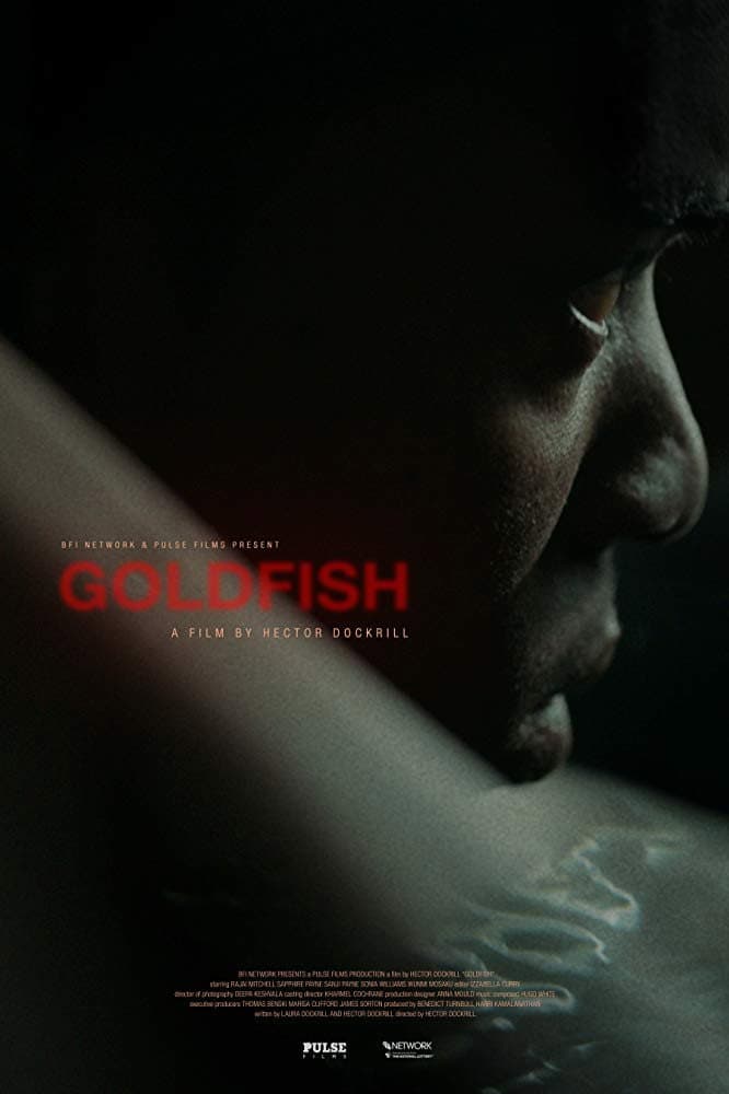Poster di Goldfish