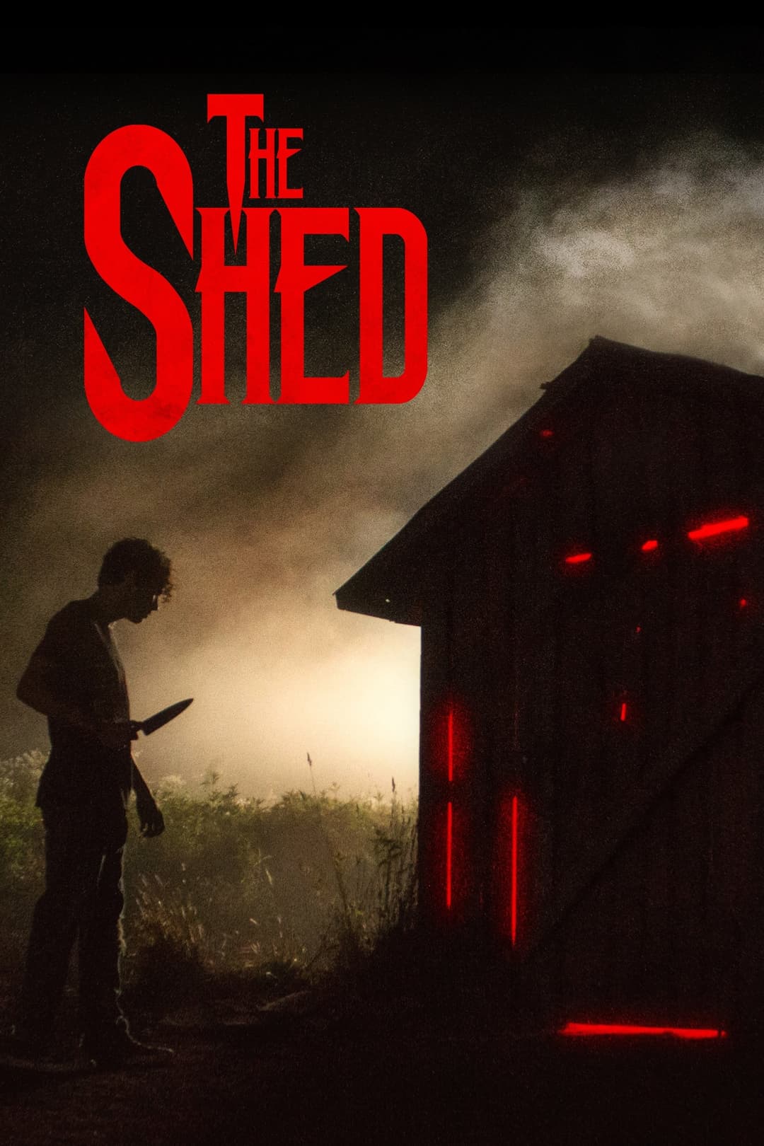 Poster di The Shed
