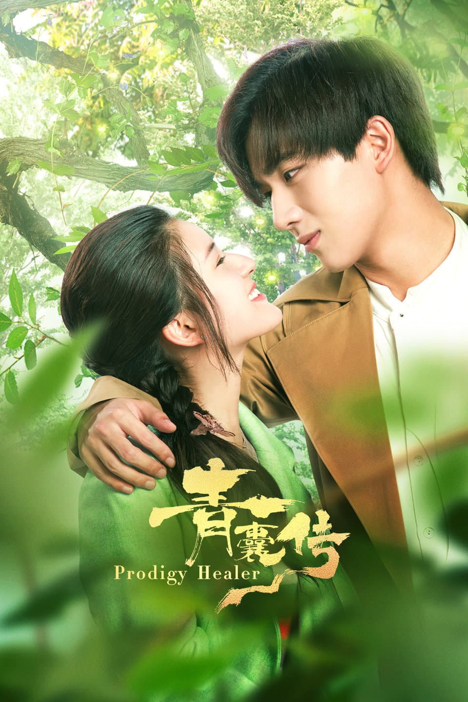 Poster di 青囊传