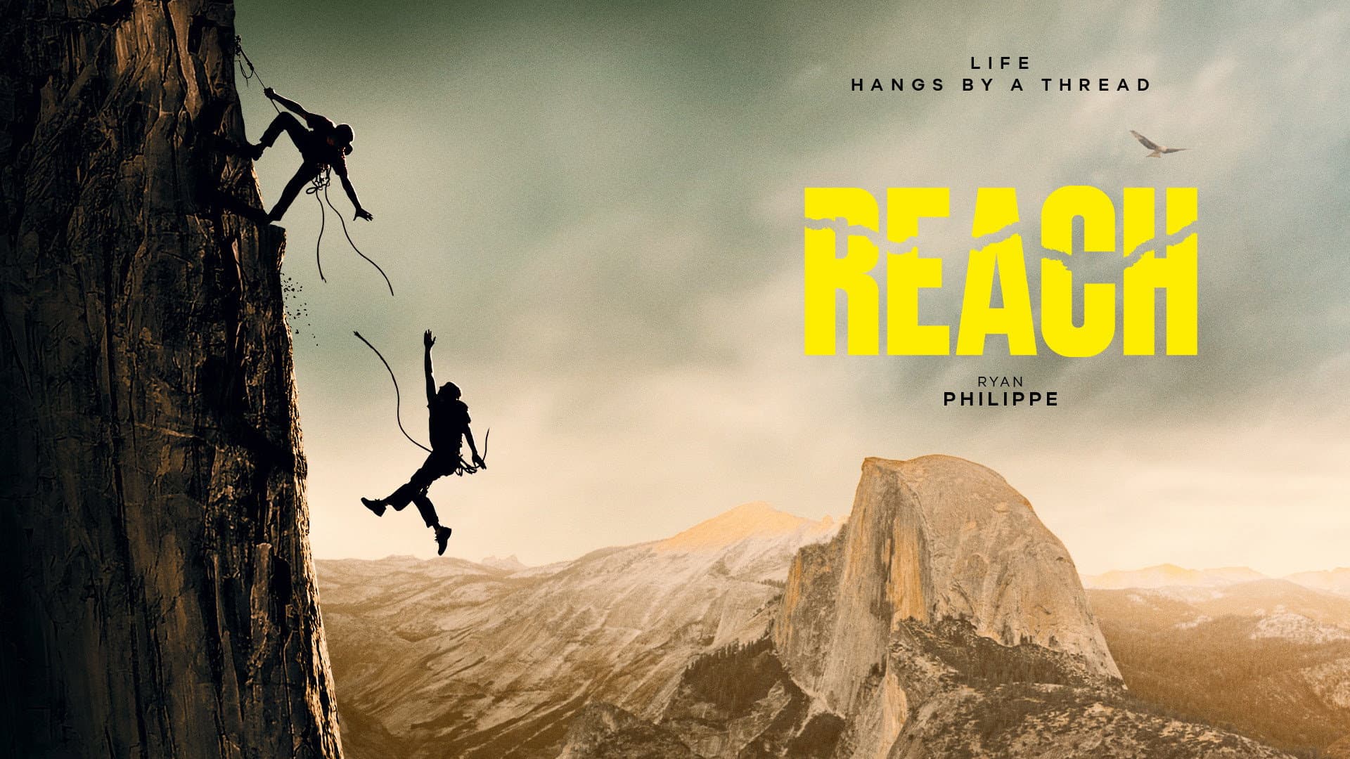 Reach - immagine