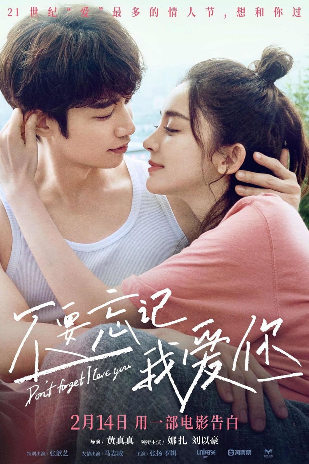 Poster di 不要忘记我爱你