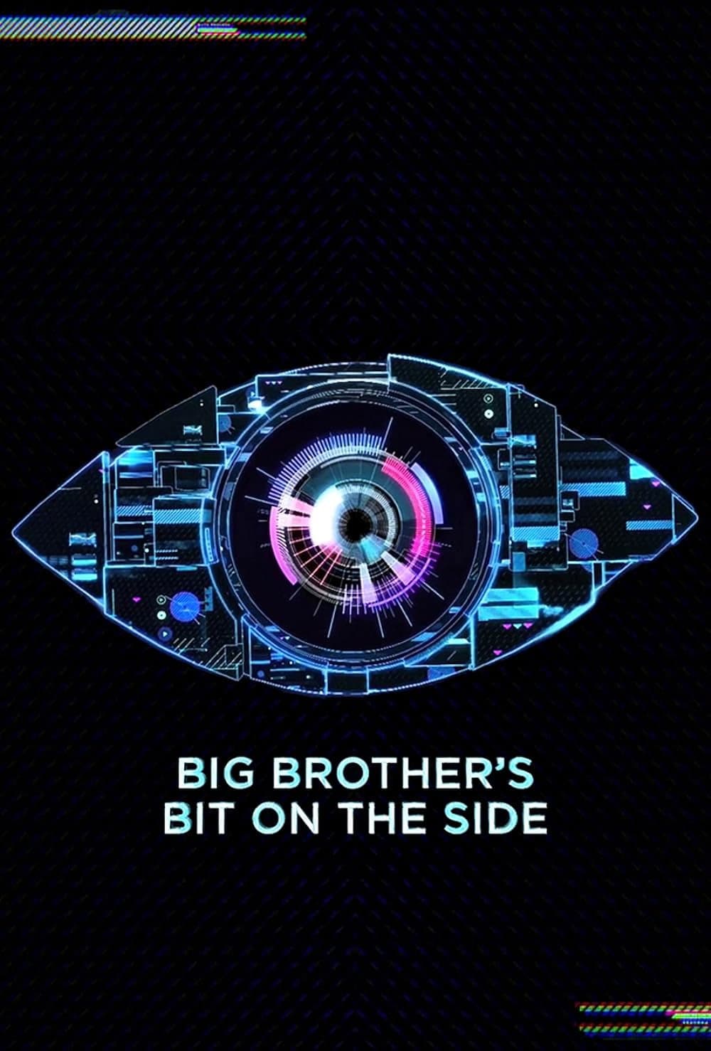 Poster di Big Brother's Bit on the Side