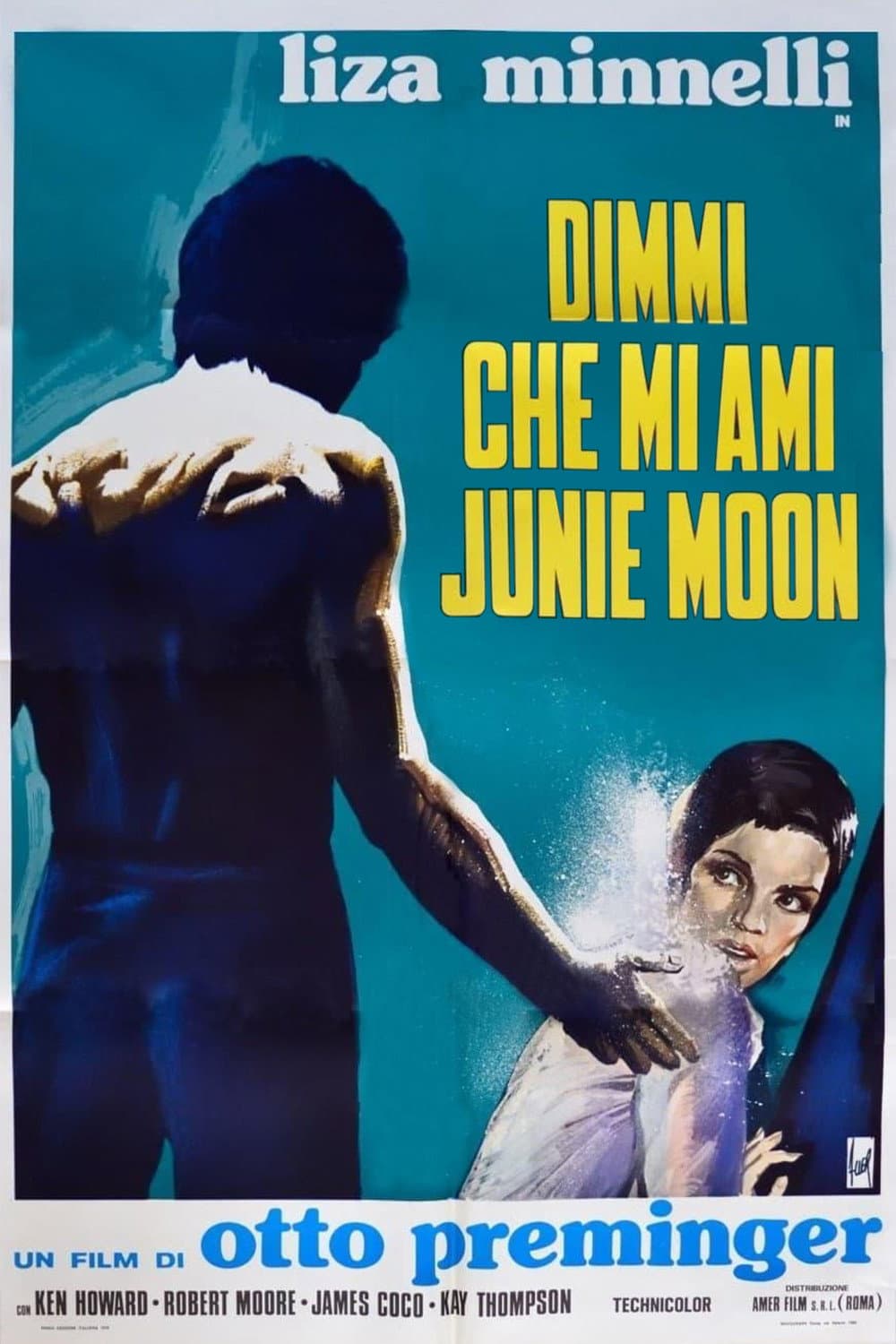 Poster di Dimmi che mi ami, Junie Moon