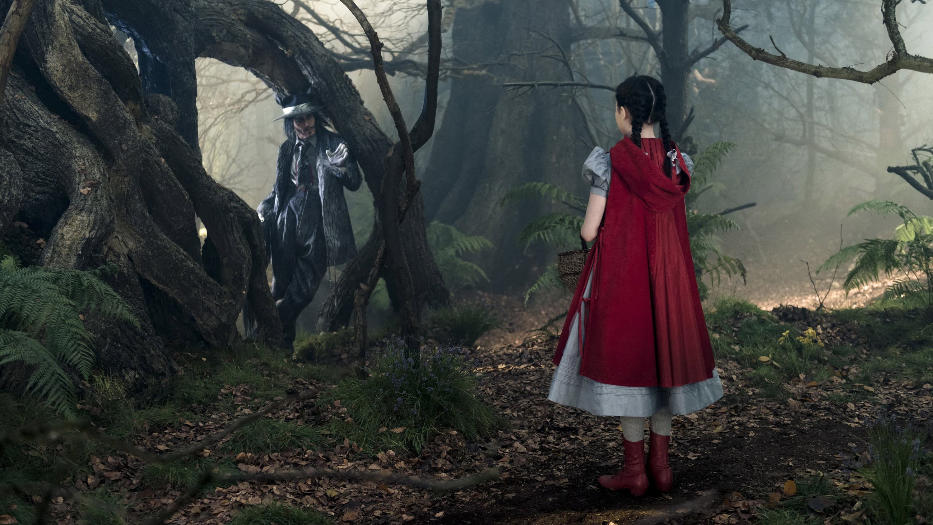 Into the Woods - immagine