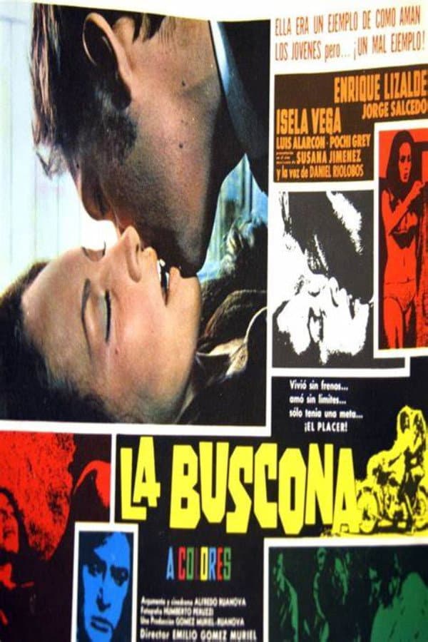 Poster di La buscona