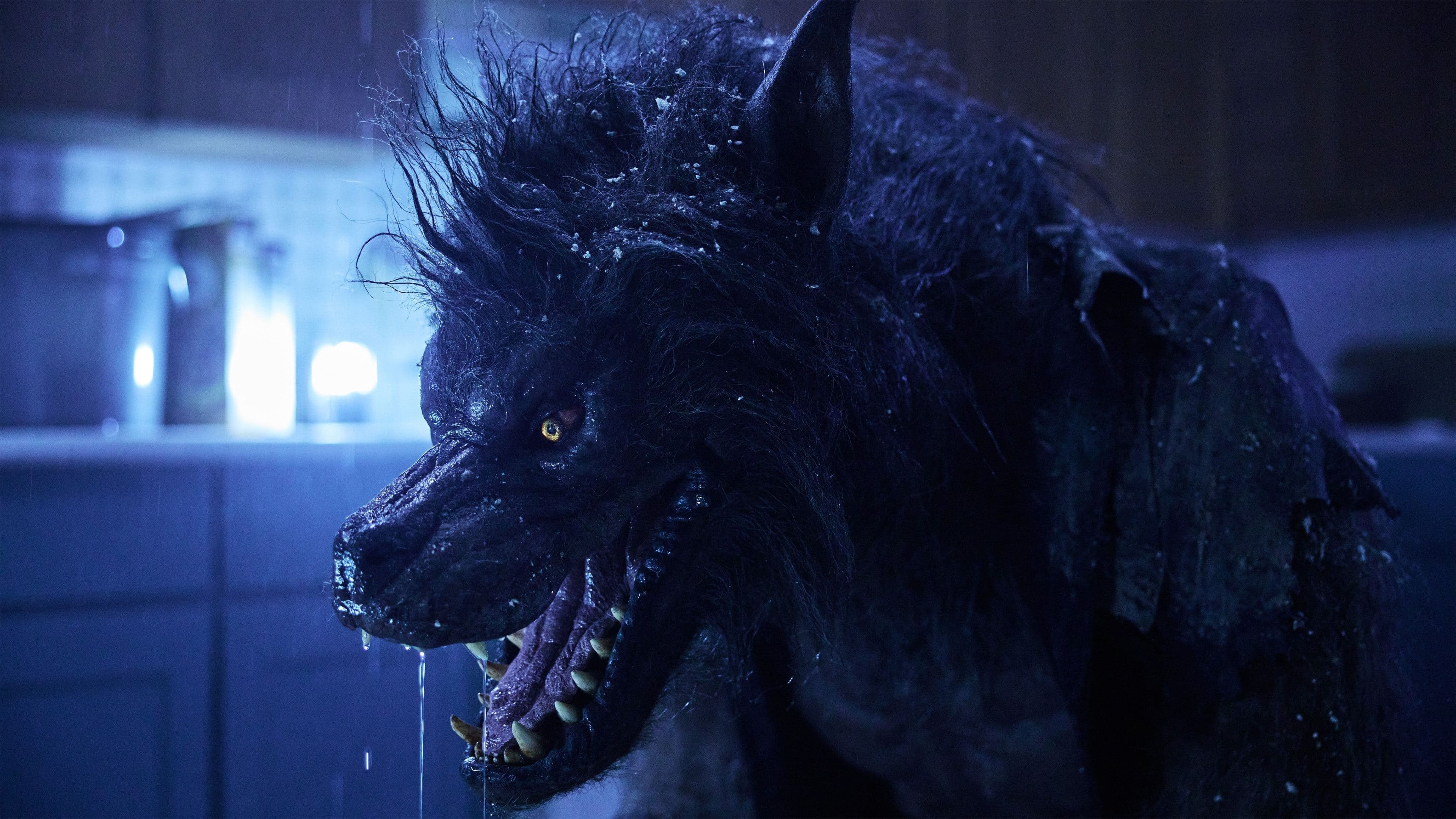 Werewolves - immagine