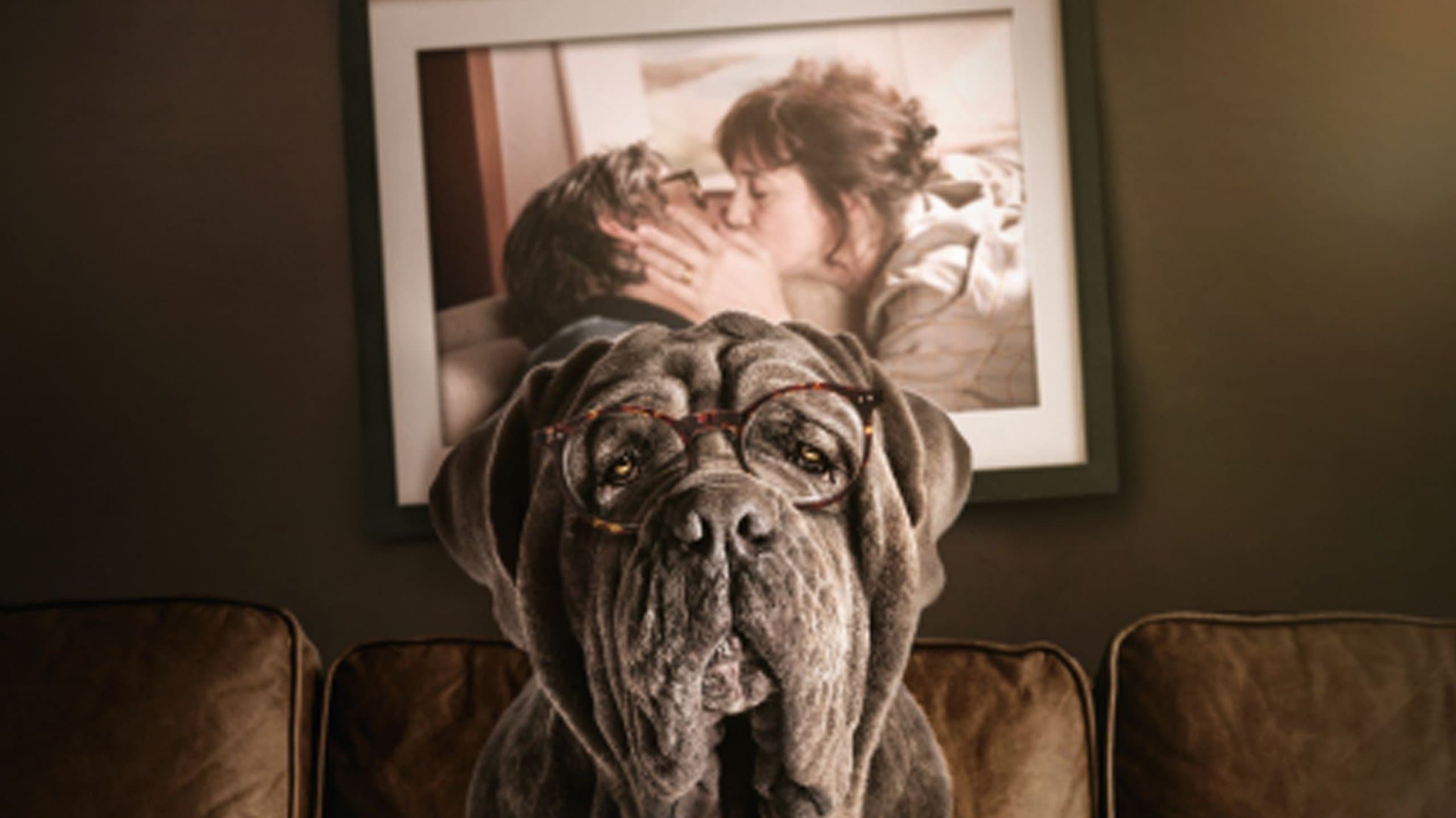 My Dog Stupid - Il mio cane Stupido - immagine