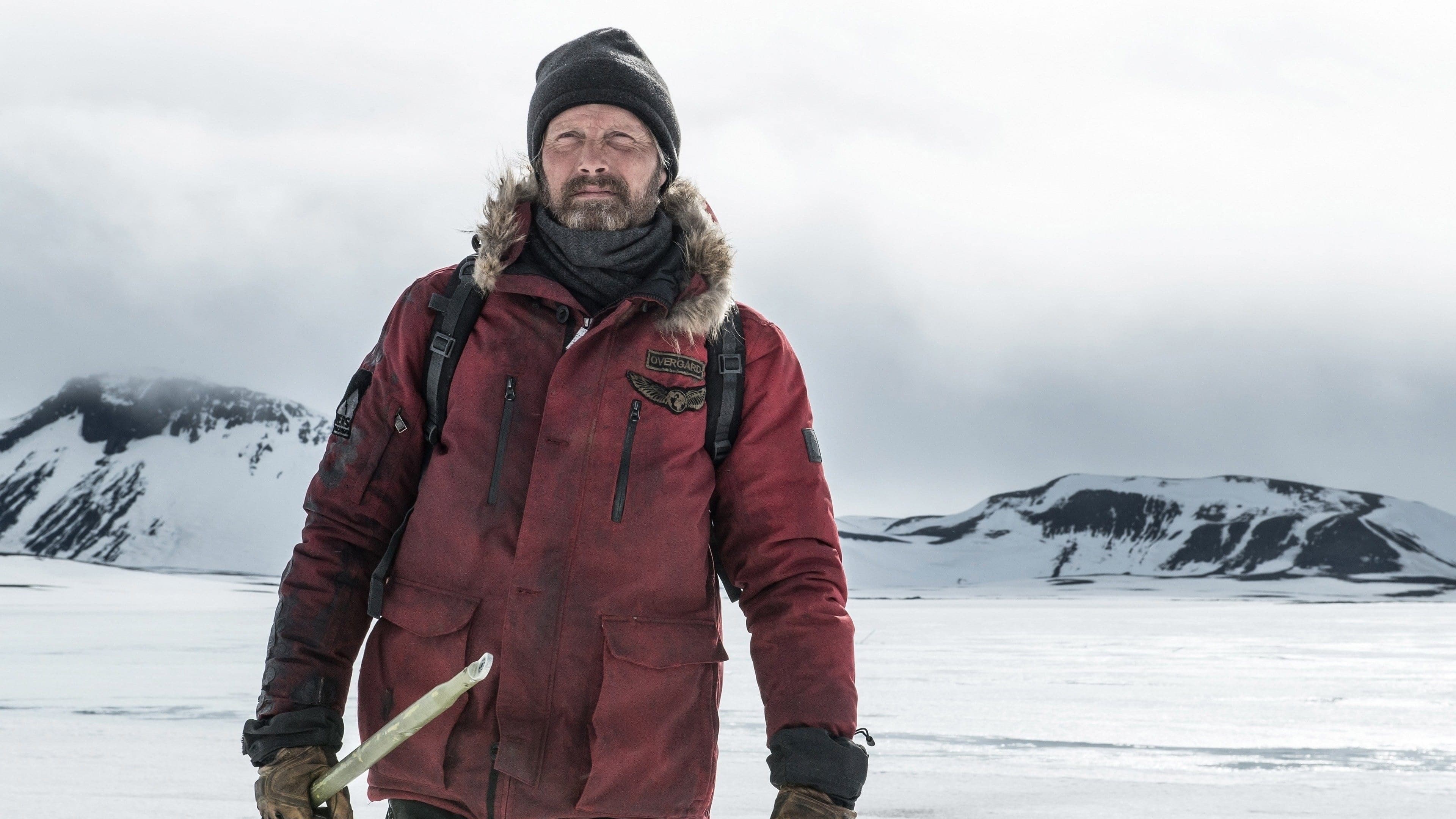 Arctic - immagine