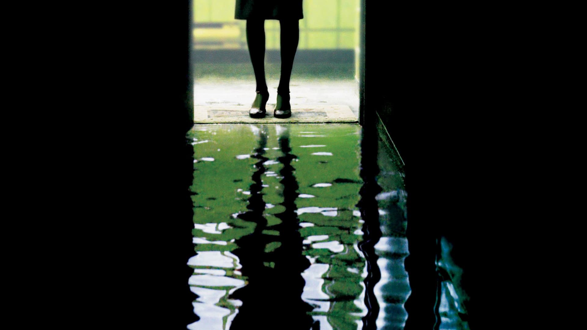 Dark Water - immagine