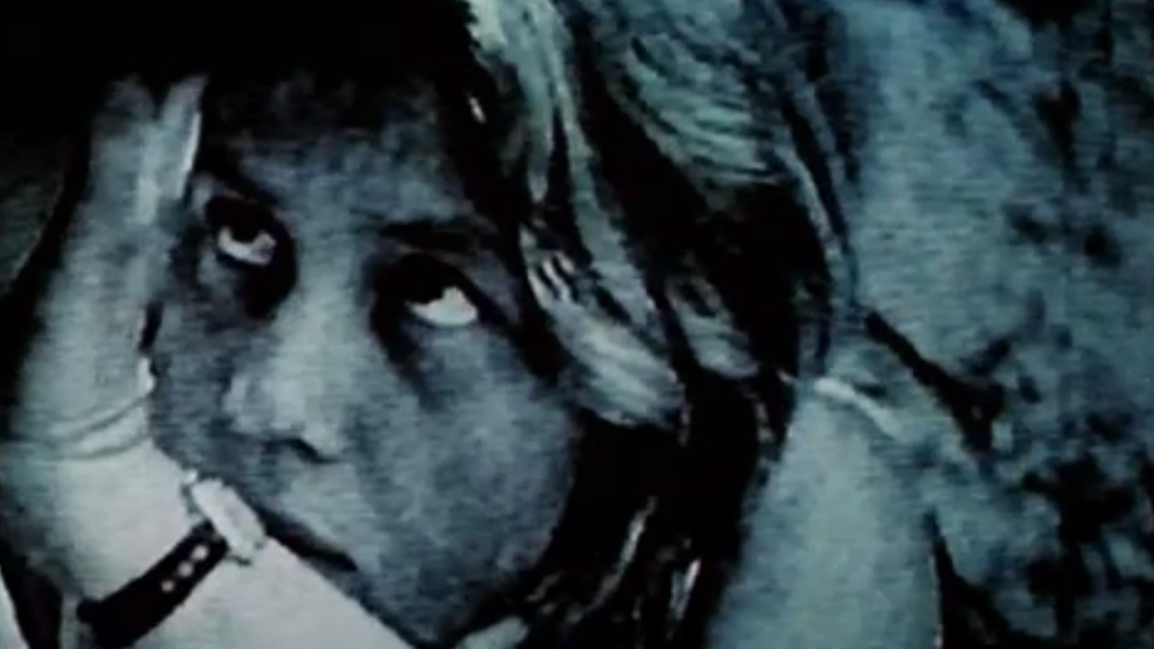 20 Little Films - immagine