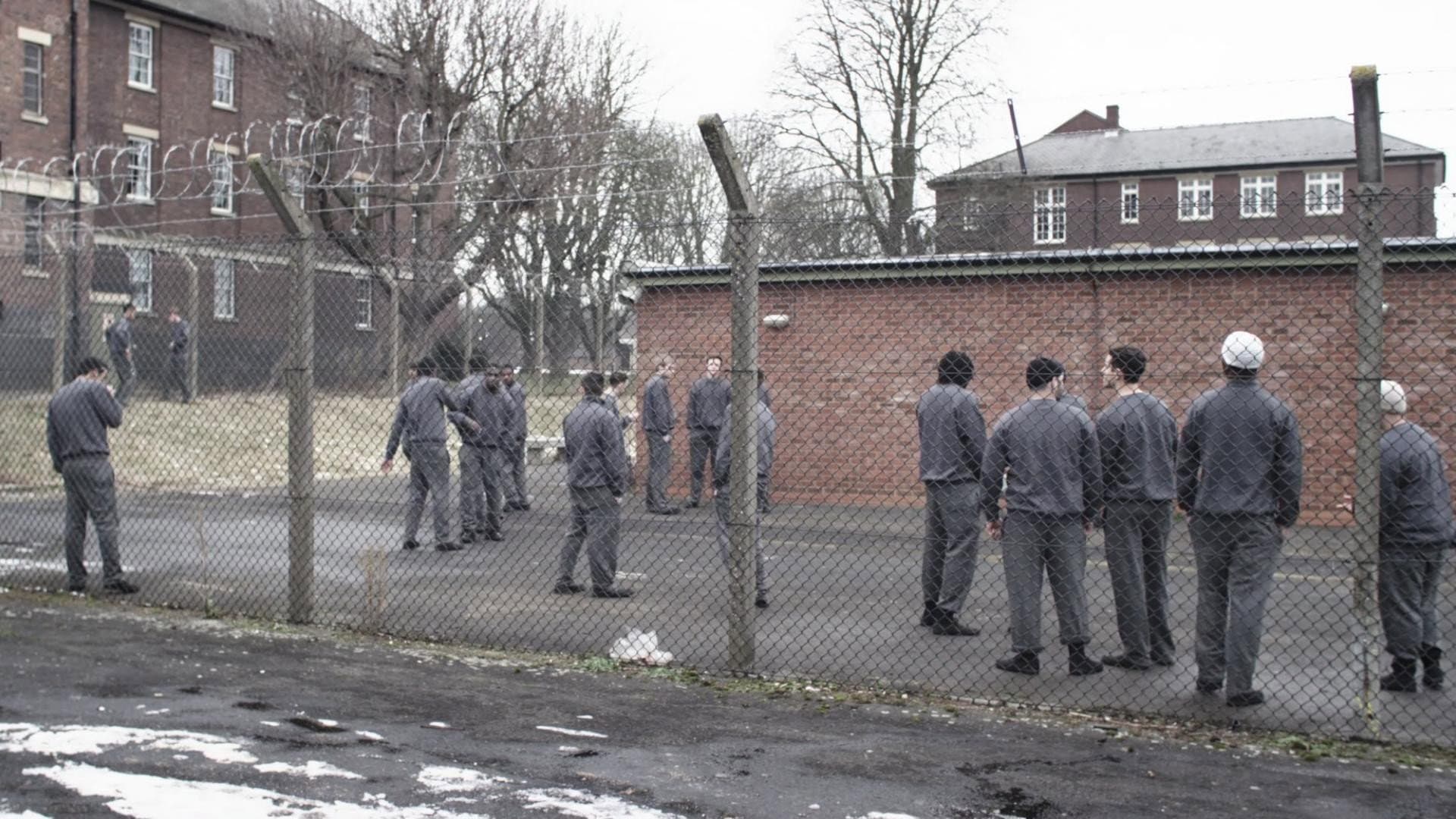 Offender - immagine