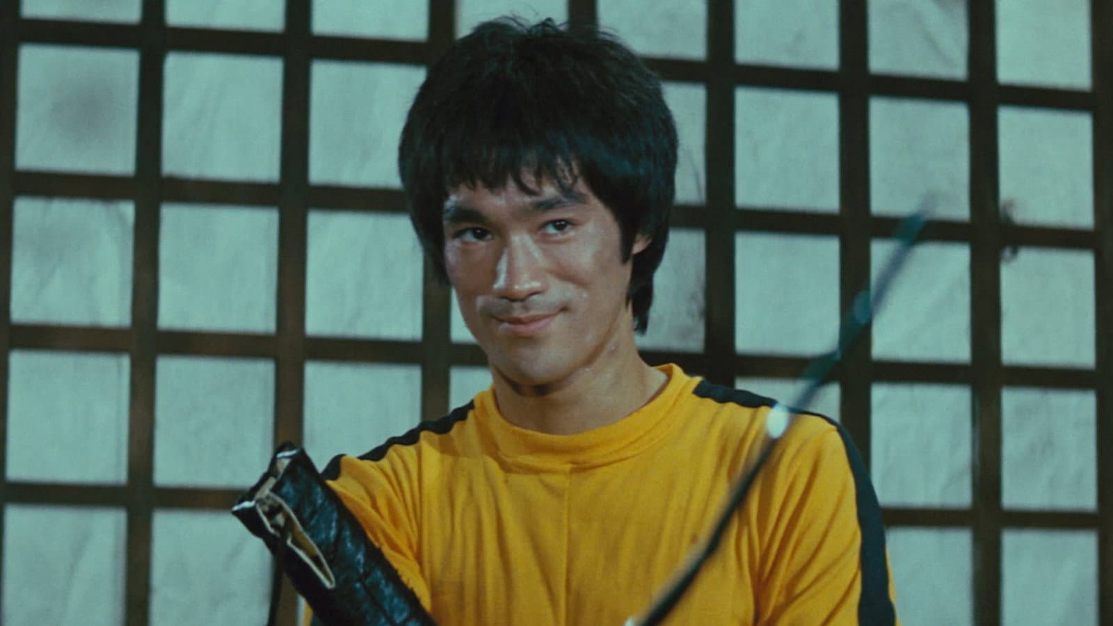 Game of Death Redux - immagine