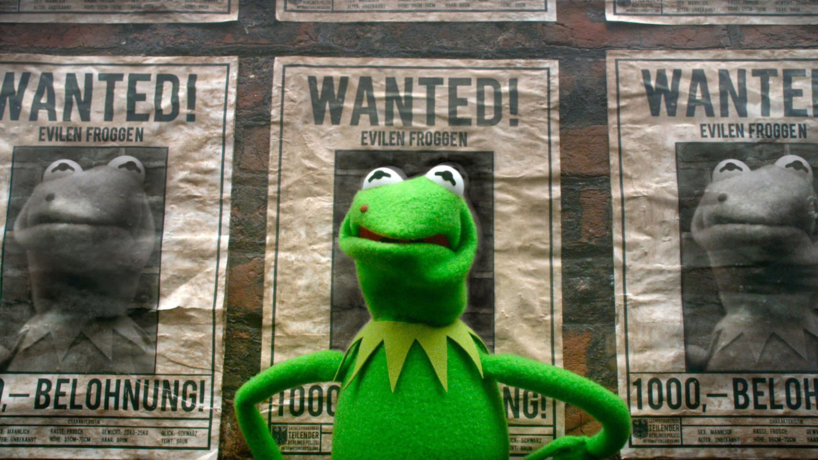 Muppets 2 - Ricercati - immagine