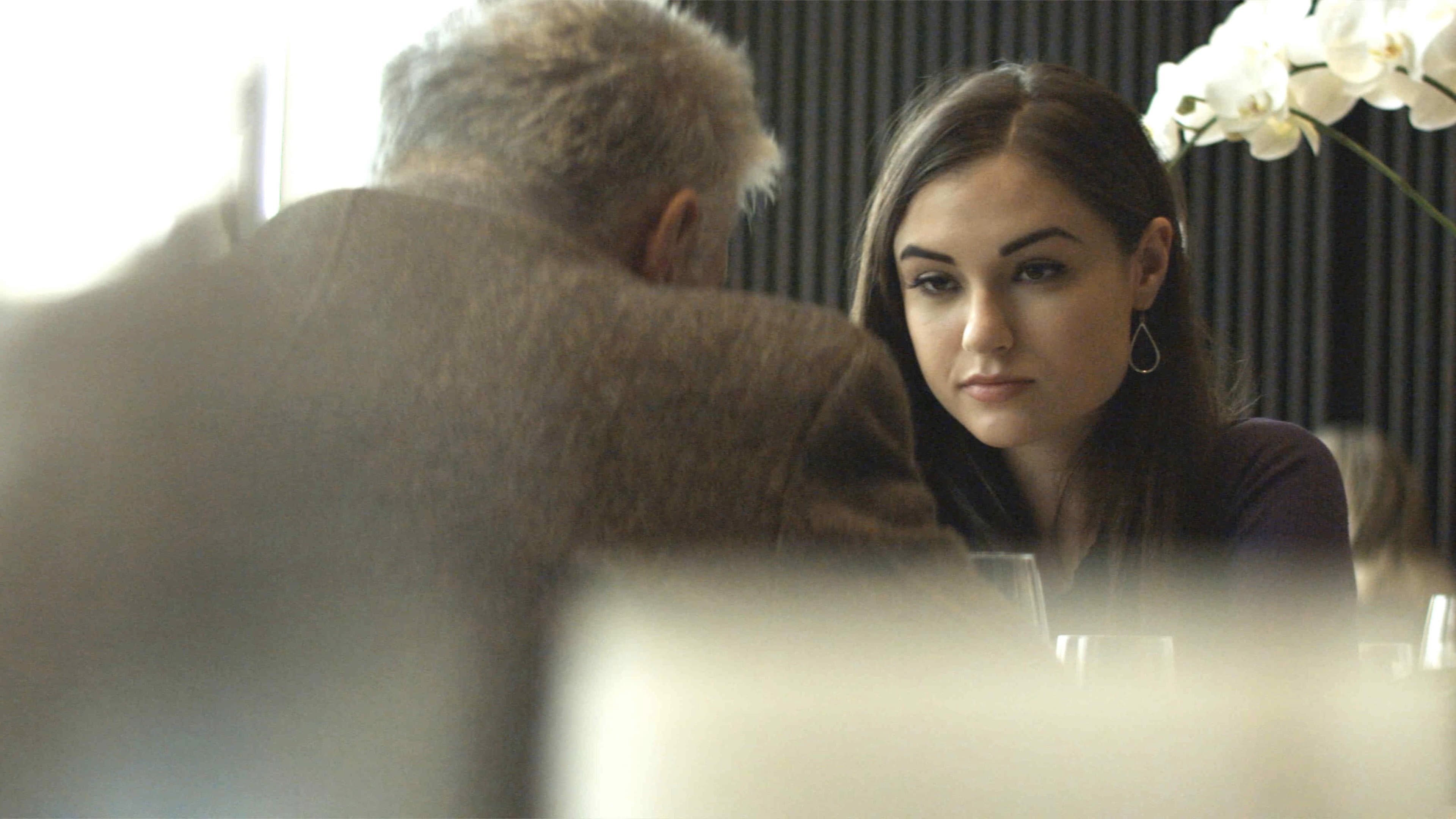 The Girlfriend Experience - immagine