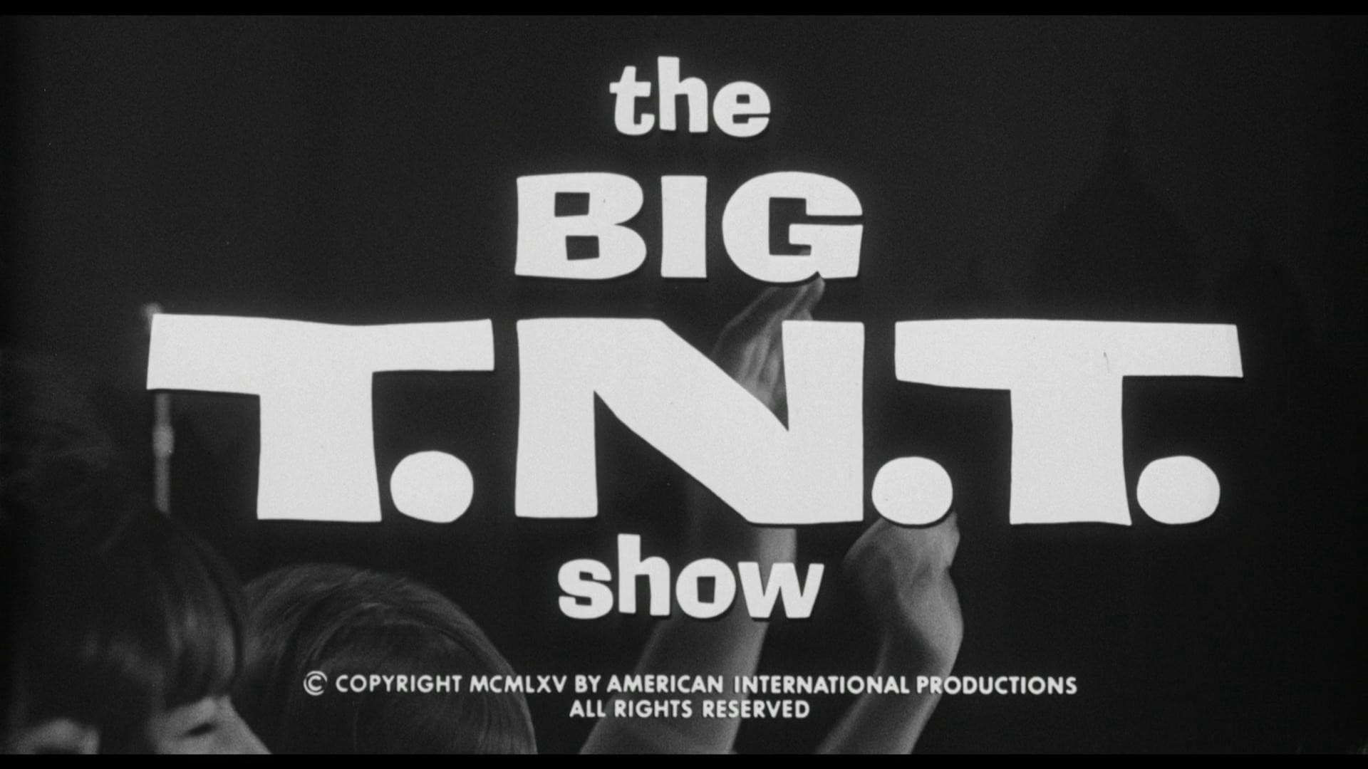 The Big T.N.T. Show - immagine