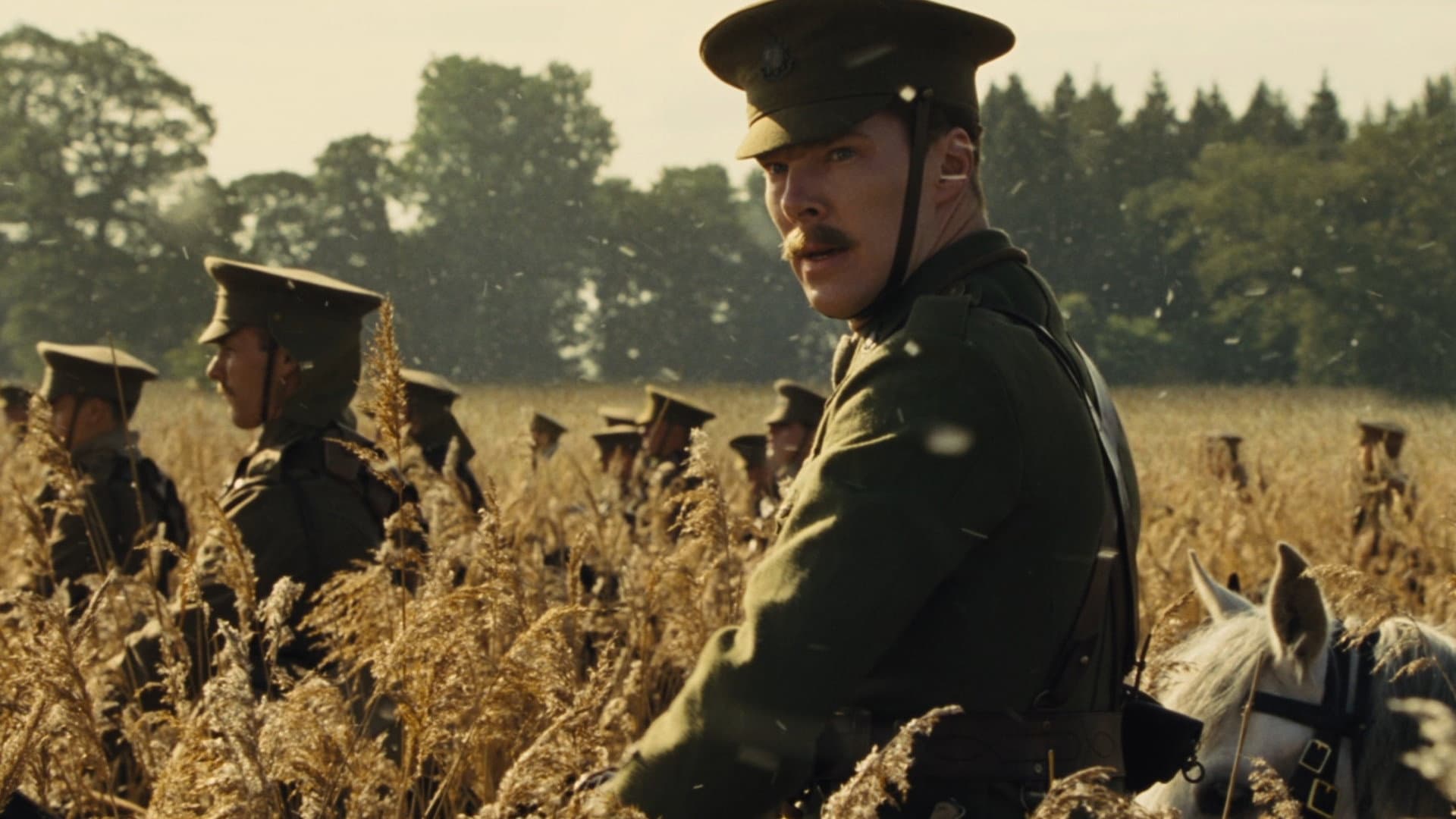 War Horse - immagine