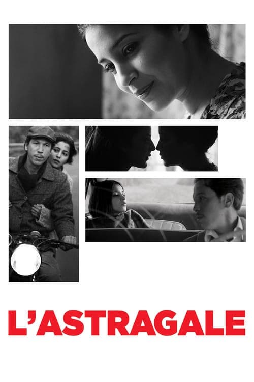 Poster di L'Astragale