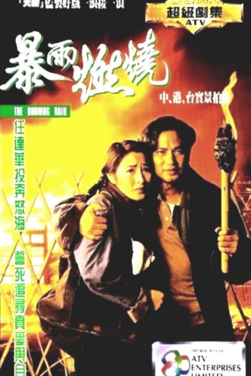 Poster di 暴雨燃燒