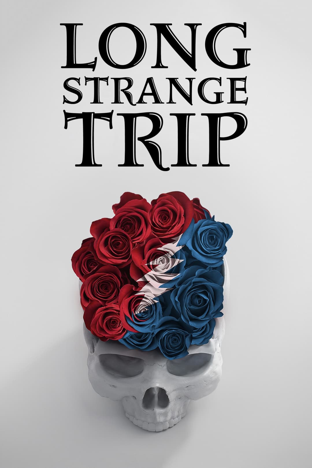 Poster di Long Strange Trip