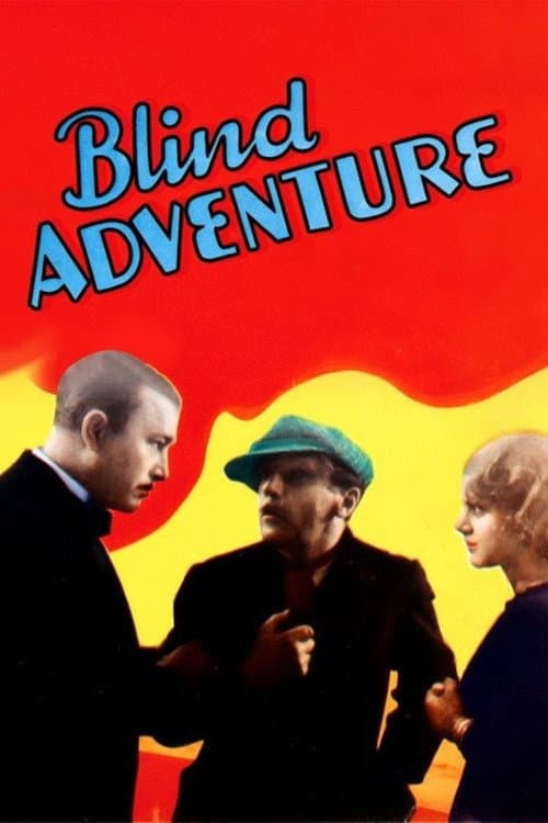 Poster di Blind Adventure