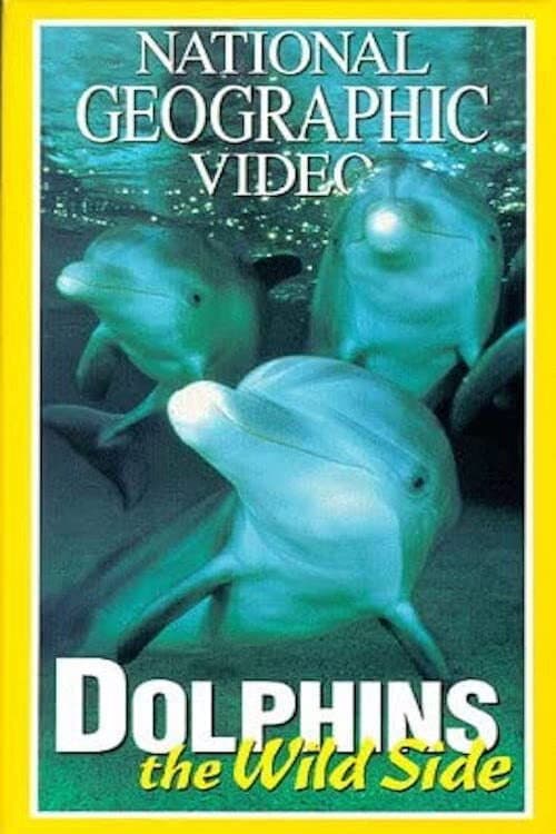 Poster di L'Altra Faccia dei Delfini