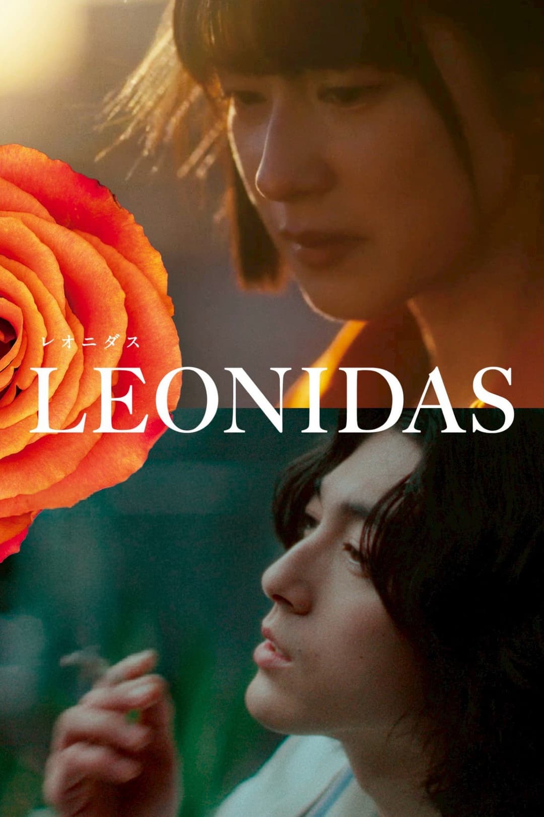 Poster di LEONIDAS