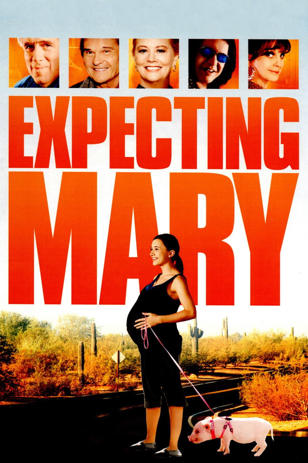 Poster di Expecting Mary