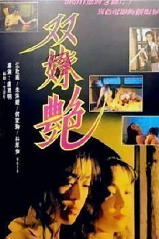 Poster di 雙姝艷