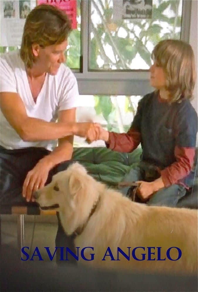 Poster di Saving Angelo