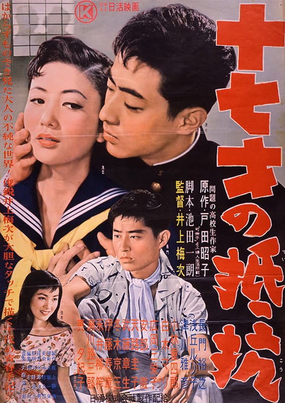 Poster di 十七才の抵抗