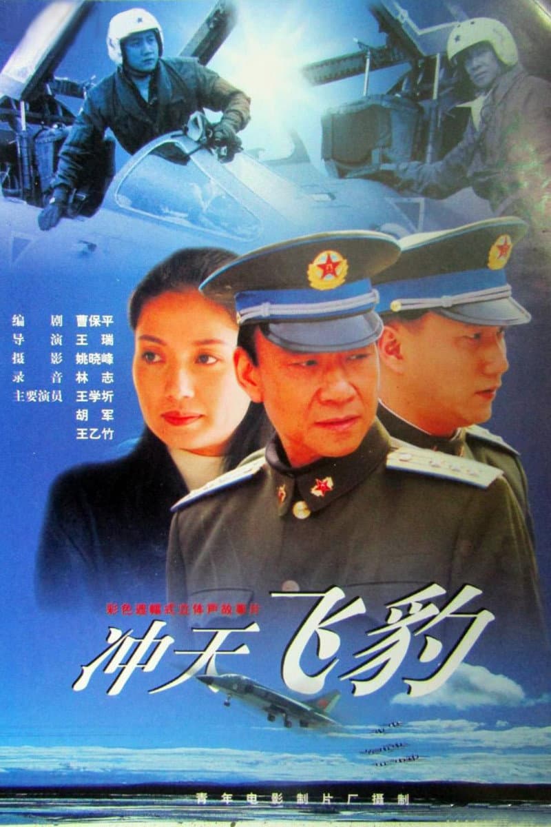 Poster di 冲天飞豹