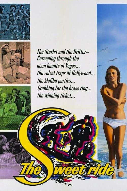 Poster di L'onda lunga