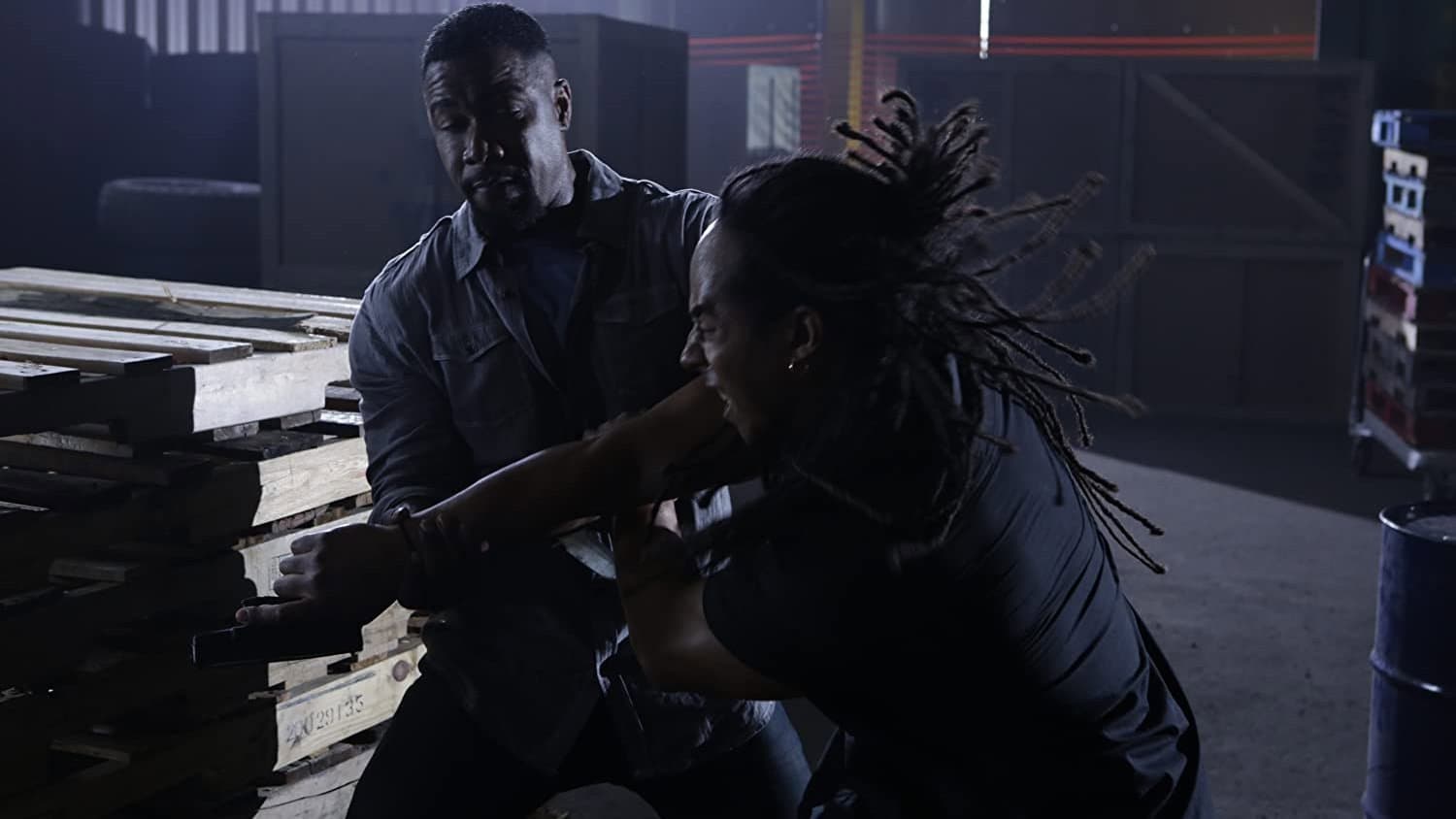 Falcon Rising - immagine