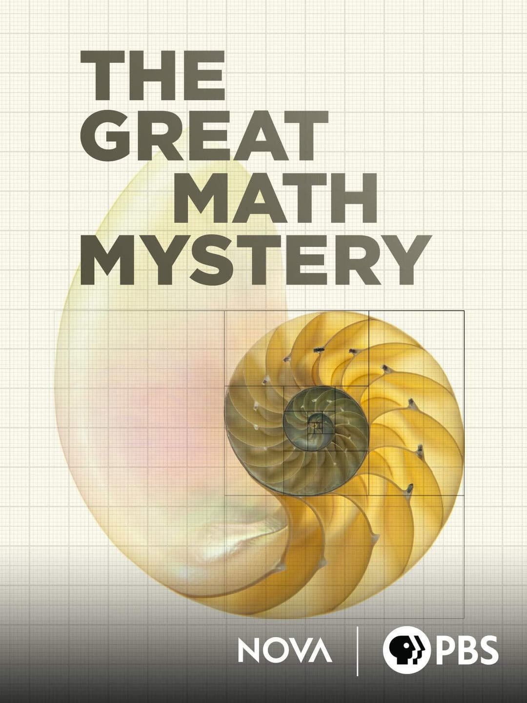 Poster di NOVA: The Great Math Mystery