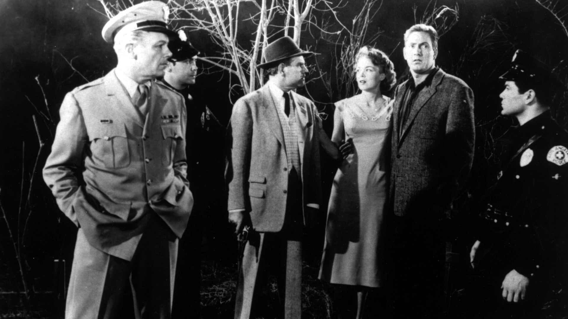 Plan 9 from Outer Space - immagine