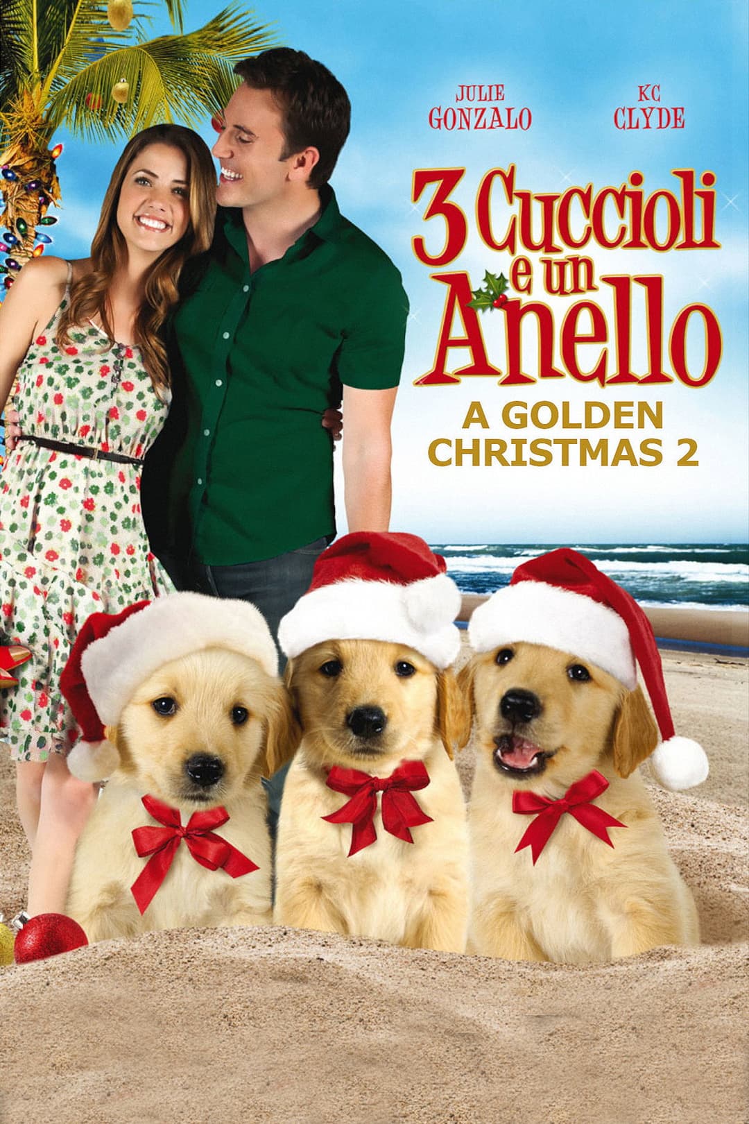 Poster di Tre cuccioli e un anello
