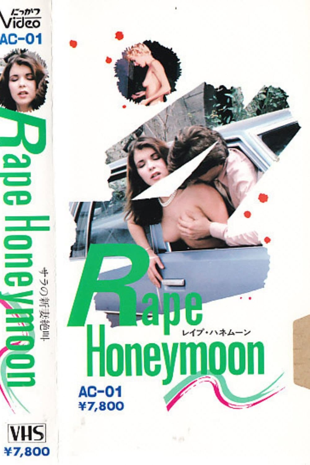 Poster di レイプ・ハネムーン　サラの新妻絶叫