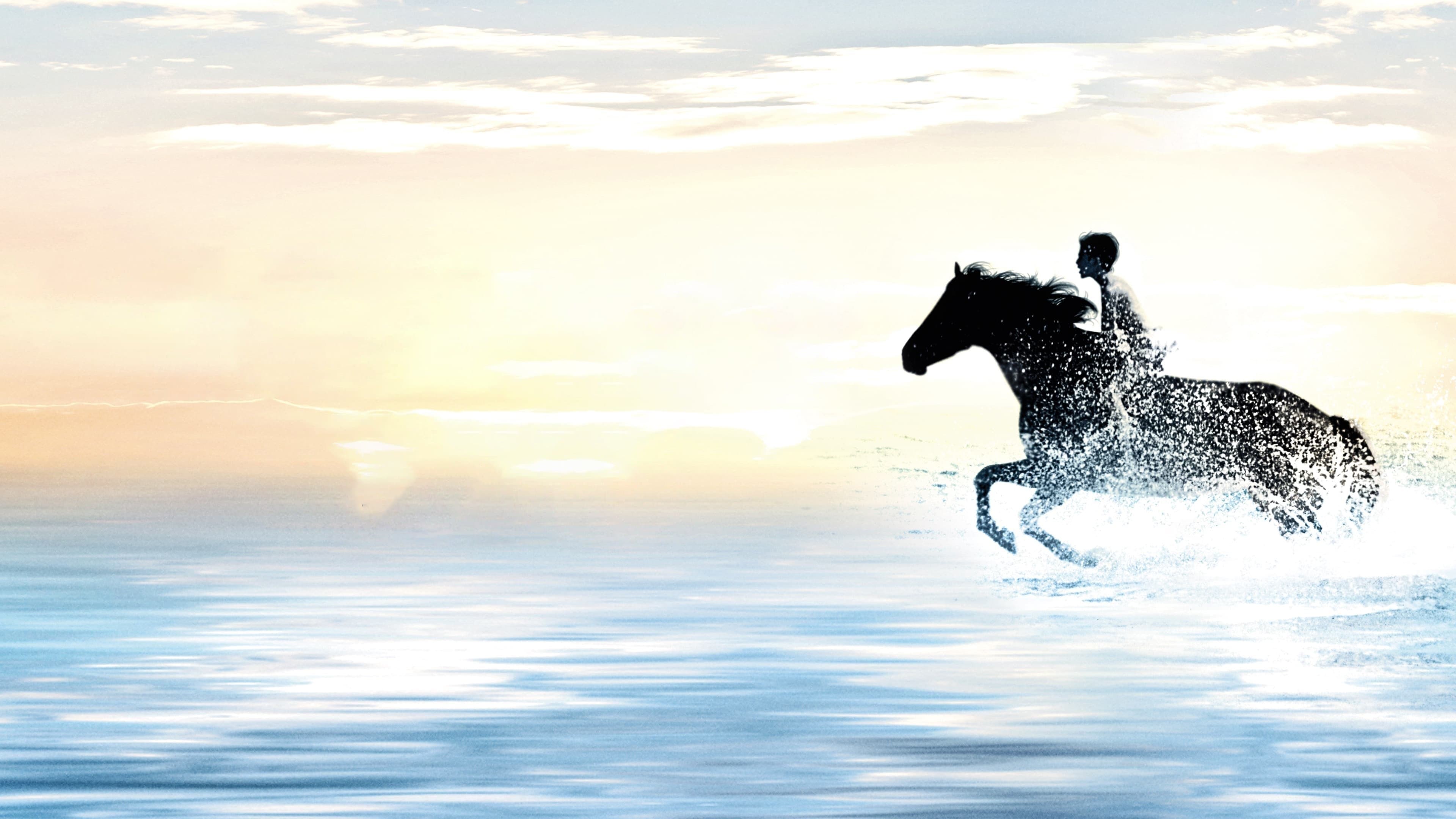 Black Stallion - immagine