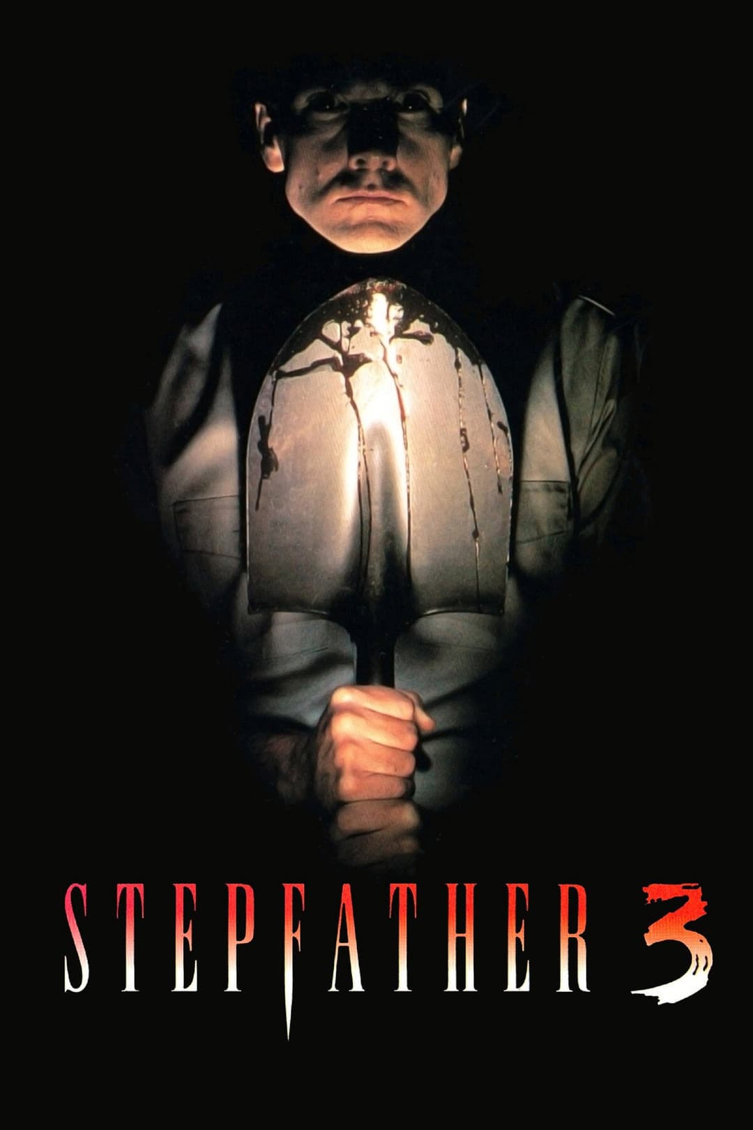 Poster di In casa con il nemico