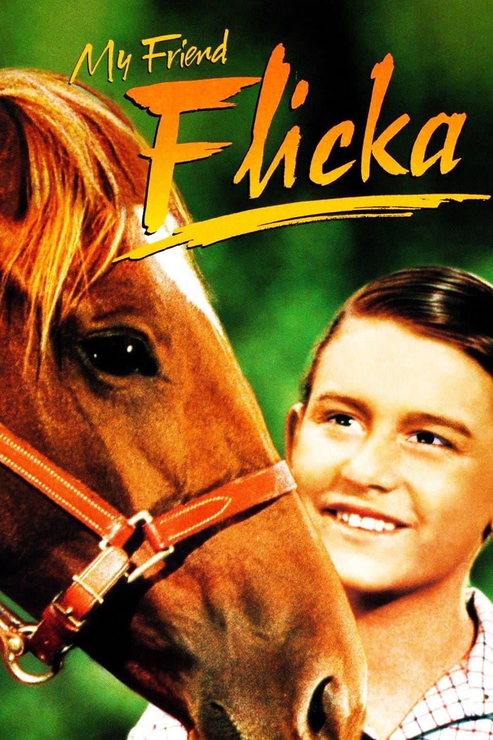 Poster di My Friend Flicka