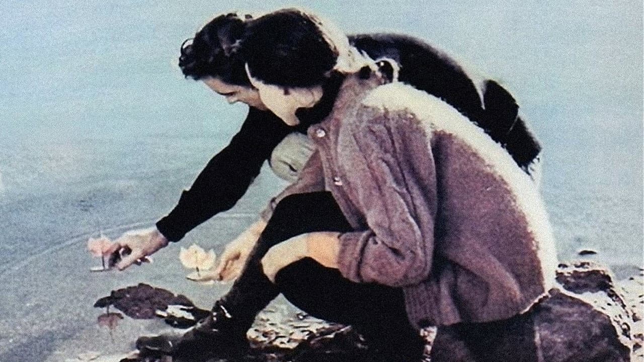 I due mondi di Charly - immagine