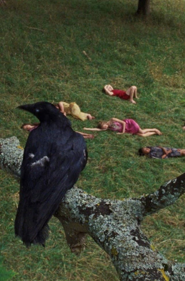 Poster di The Bird Game