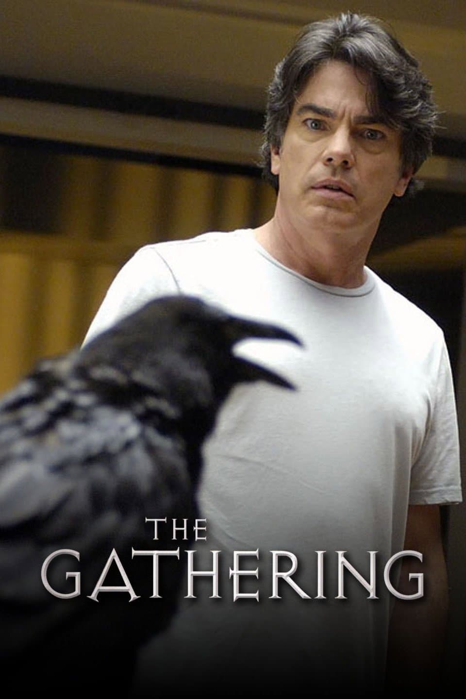 Poster di The Gathering
