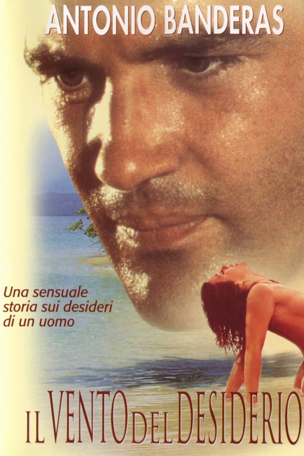 Poster di Il vento del desiderio
