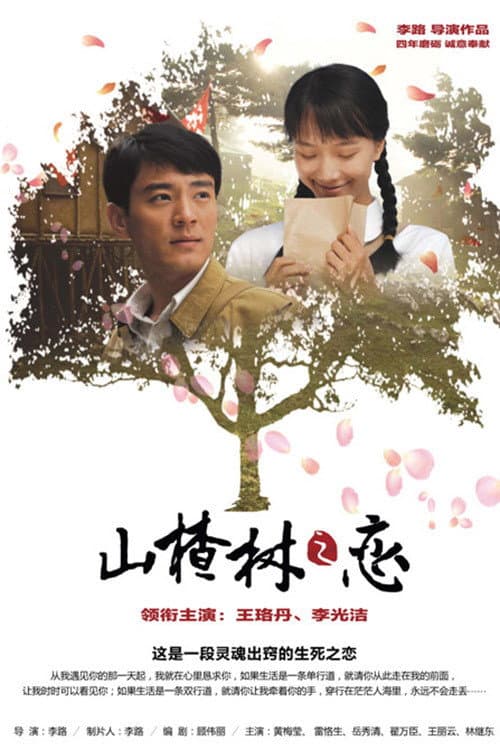 Poster di 山楂树之恋