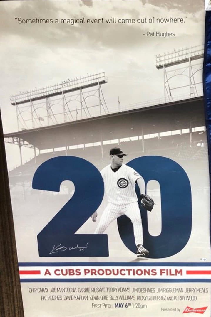 Poster di 20