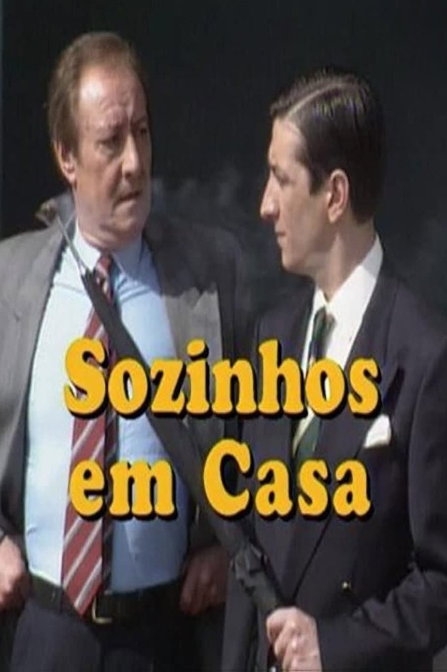 Poster di Sozinhos em Casa