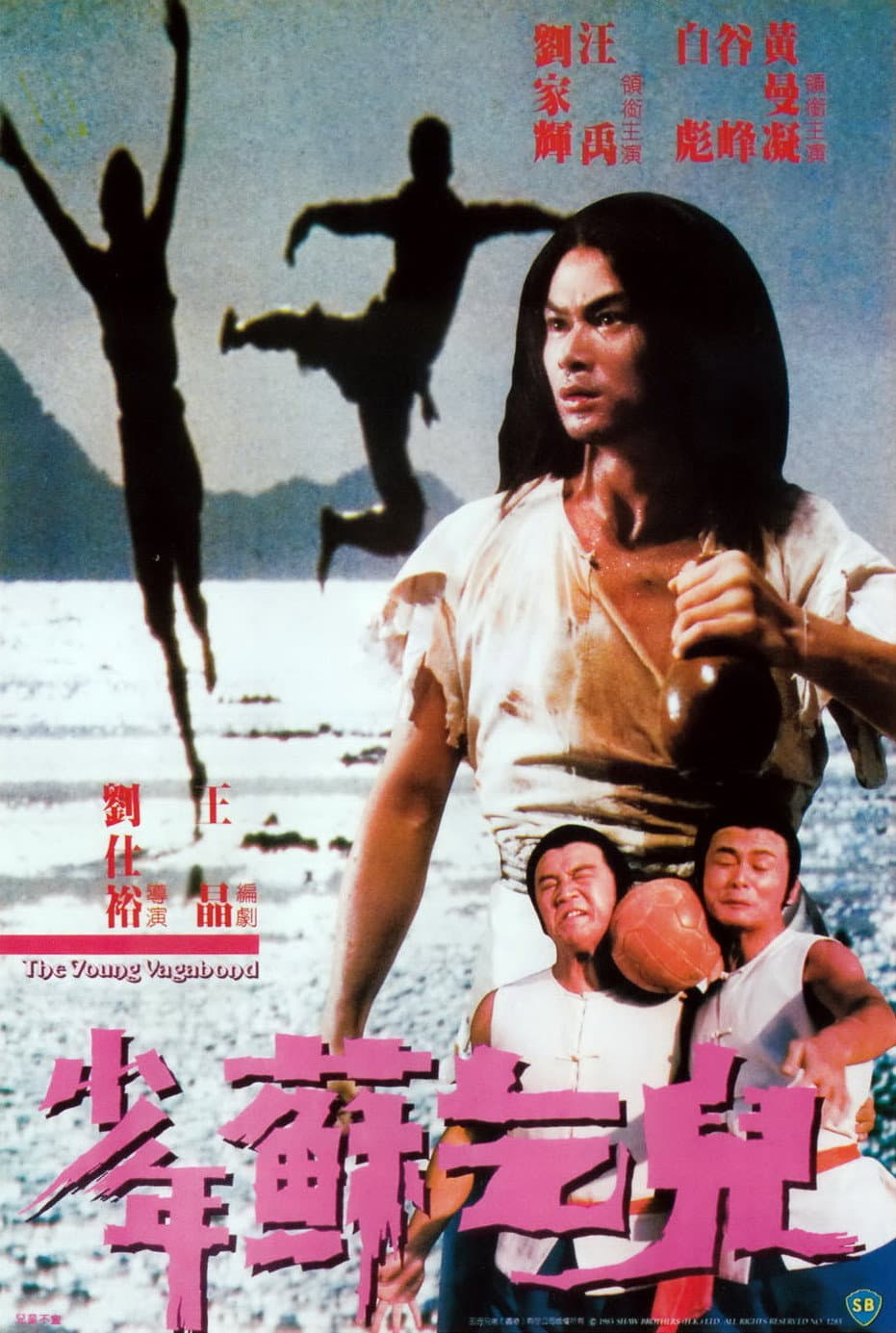 Poster di 少年蘇乞兒