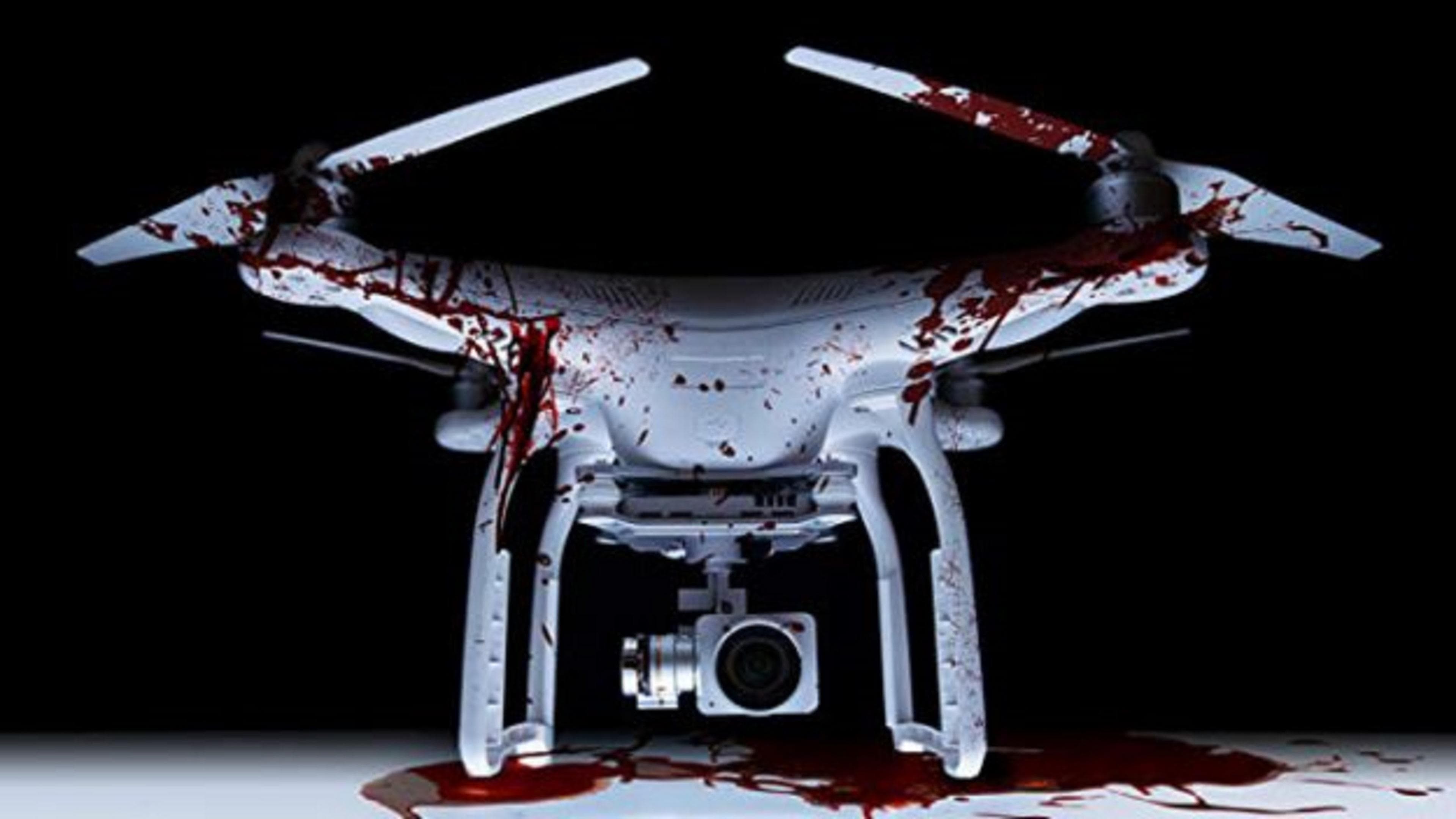 The Drone - immagine